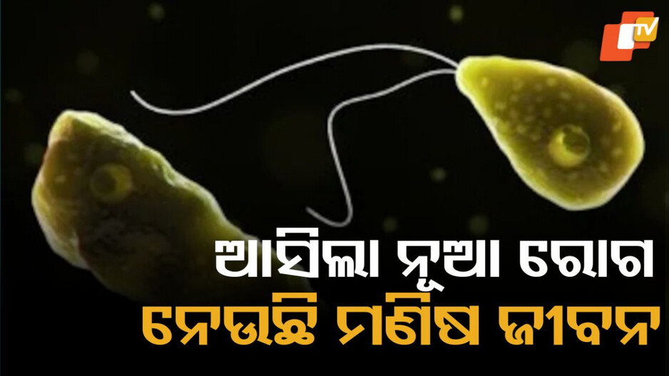 Danger Amoeba: ନାକ ବାଟେ ପଶିଯାଉଛି ଏମିବା, ନେଉଛି ମଣିଷ ଜୀବନ
