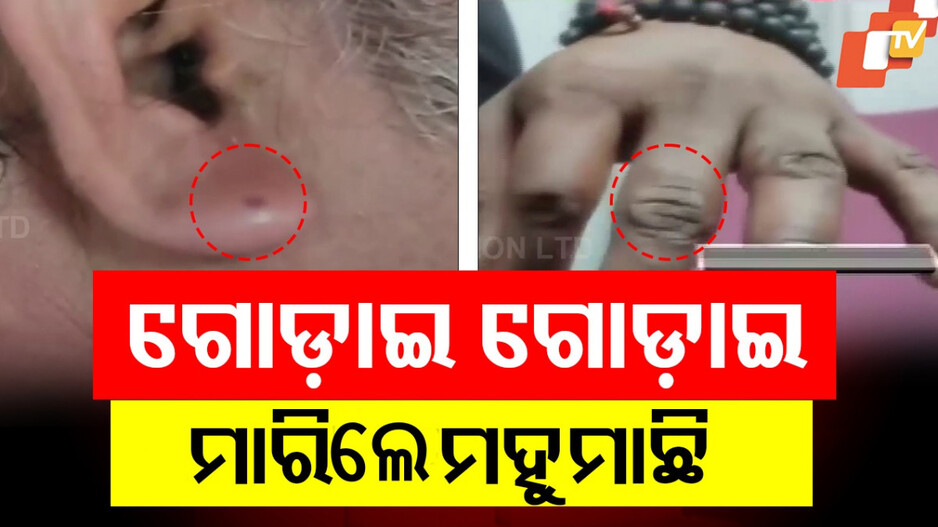 Bee Attack Devotees: ଶିବ ମନ୍ଦିରରେ ମହୁମାଛି ଆକ୍ରମଣ, ୨୦ ଶ୍ରଦ୍ଧାଳୁ ଆହତ