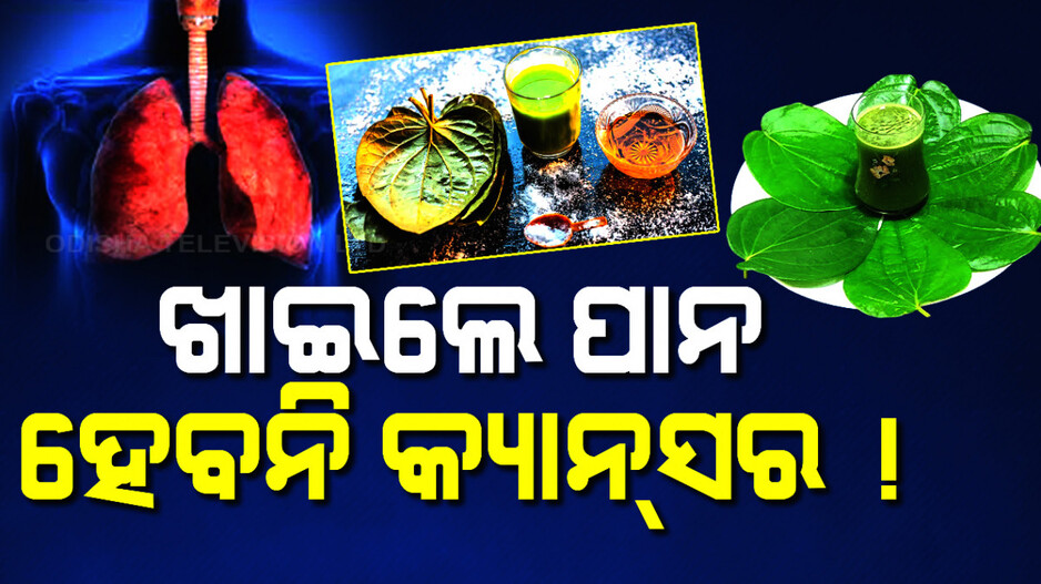 ସ୍ୱାସ୍ଥ୍ୟ ପାଇଁ ଭଲ ପାନ, ଖାଇଲେ ହେବନି କ୍ୟାନସର୍ !