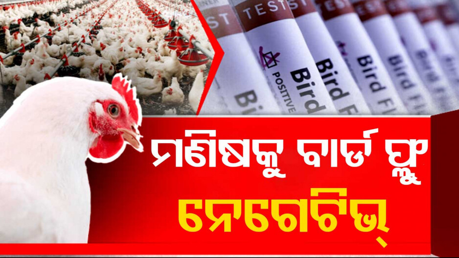 ମଣିଷକୁ ଛୁଇନି ବାର୍ଡ ଫ୍ଲୁ, ରିପୋର୍ଟ ଆସିଲା ନେଗେଟିଭ୍