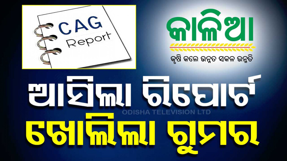 ଆସିଲା ସିଏଜି ରିପୋର୍ଟ, ଫିଟିଲା ଗୁମର: ୭୮୨ କୋଟି ନେଇଗଲେ ‘କାଳିଆ’ ଅଯୋଗ୍ୟ ହିତାଧିକାରୀ