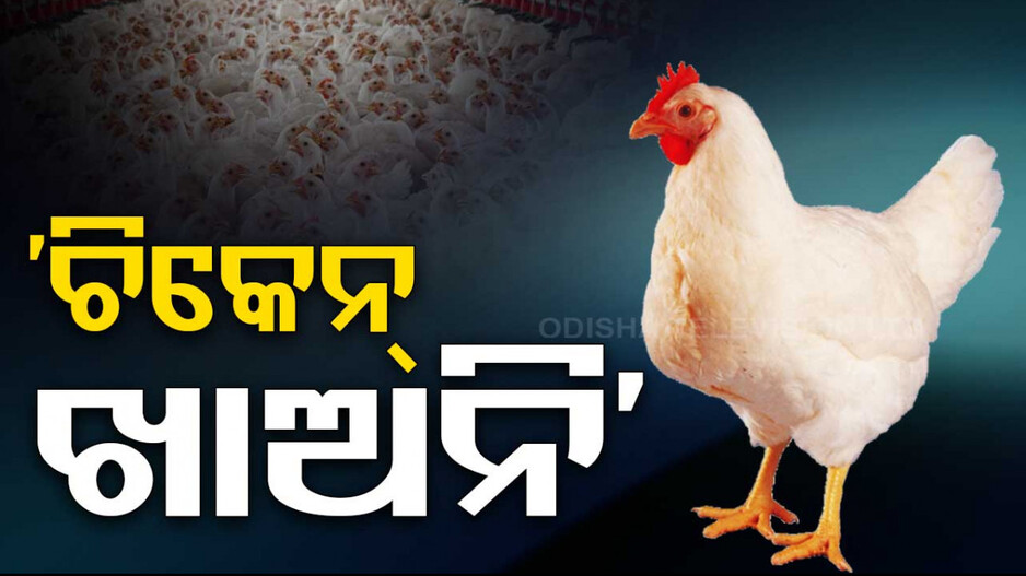 ରାଜଧାନୀକୁ ବାର୍ଡ ଫ୍ଲୁ ଭୟ: କିଛି ଦିନ ଚିକେନ ନ ଖାଇବାକୁ ମେୟରଙ୍କ ପରାମର୍ଶ