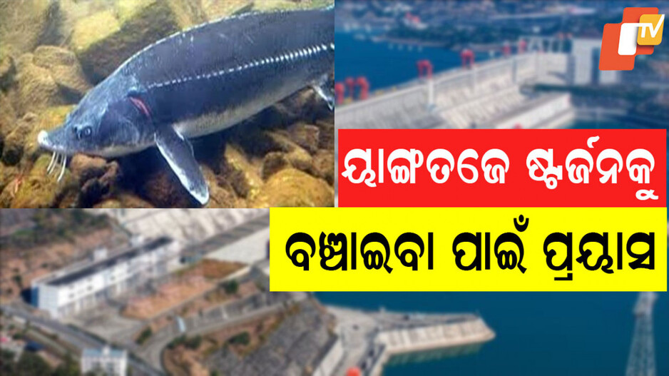 Red River: ରେଡ୍ ରିଭର ଉପରୁ ଭଙ୍ଗାଗଲା ୩୦୦ ଡ୍ୟାମ; ୩୪୨ ହାଇଡ୍ରୋପାୱାର ଷ୍ଟେସନର କାର୍ଯ୍ୟକ୍ଷମ ବନ୍ଦ