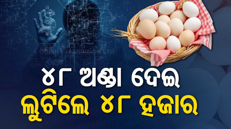 ୪ ଡଜନ୍‌ ଅଣ୍ଡାକୁ ୪୯ ଟଙ୍କାରେ କରୁଥିଲେ ଅର୍ଡର, ସାଇବର ଲୁଟେରା ନେଇଗଲେ ୪୮ ହଜାର