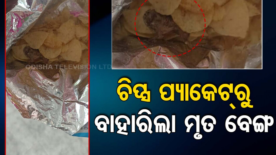 ଦୋକାନରୁ କିଣିଥିଲେ ଆଳୁ ଚିପ୍ସ ପ୍ୟାକେଟ୍‌, ଖାଇବା ବେଳେ ବାହାରିଲା ମୃତ ବେଙ୍ଗ