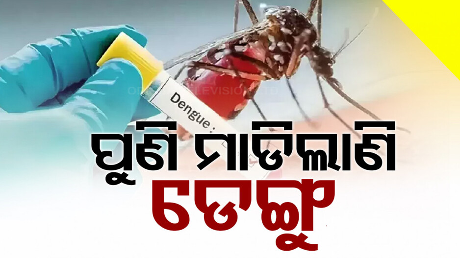 ବର୍ଷା ଦିନ ଆସିନି, ଡରାଇଲାଣି ଡେଙ୍ଗୁ; ଚିହ୍ନଟ ହେଲେଣି ୨୩୫ ଜଣ ରୋଗୀ