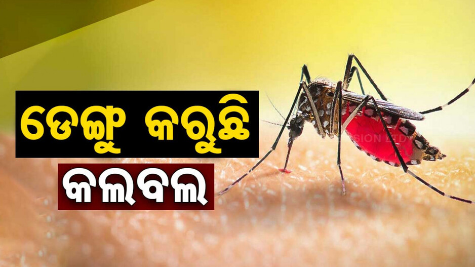 ଭୁବନେଶ୍ୱର ପାଲଟିଛି ଡେଙ୍ଗୁର ହଟସ୍ପଟ୍, ରାଜ୍ୟ ଦେଖିଲାଣି ୨ ହଜାର କେସ୍