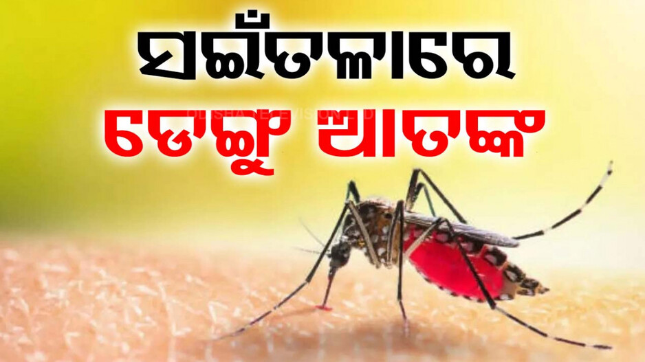 ସଇଁତଳାରେ ମାଡ଼ିଚାଲିଛି ଡେଙ୍ଗୁ; ସ୍ଥିତି ଅନୁଧ୍ୟାନ କରିବ ରାଜ୍ୟସ୍ତରୀୟ ଟିମ୍