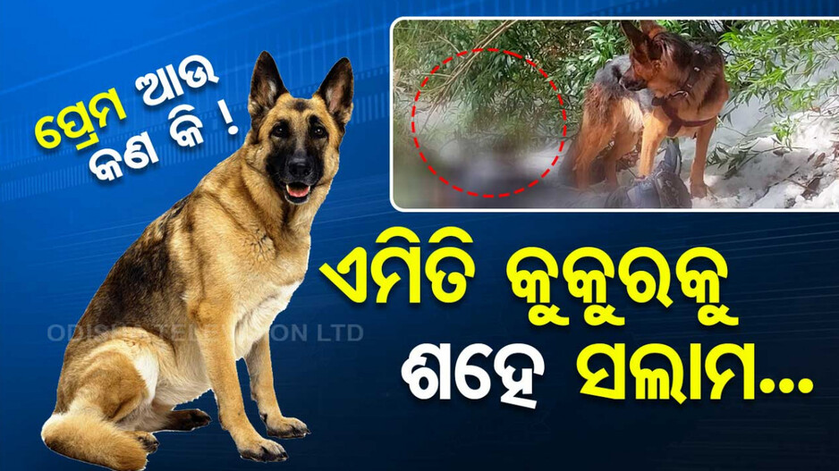 ବିପତ୍ତି ବେଳେ ବି ଛାଡ଼ି ଗଲାନି...ସାହାଯ୍ୟ ପାଇଁ ଭୁକି ଚାଲିଲା...୪୮ ଘଣ୍ଟା ଧରି ଶବ ଜଗିଲା