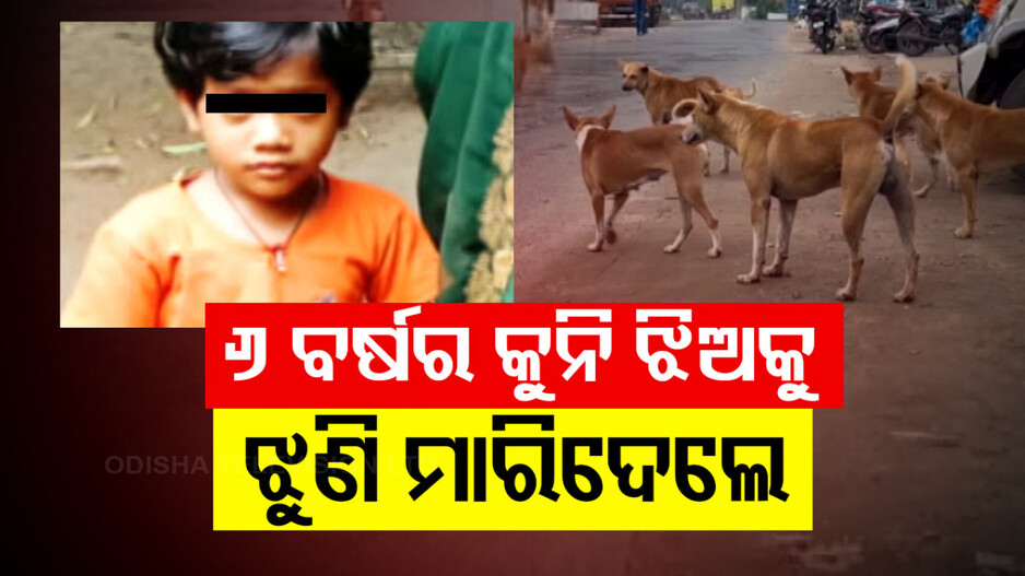 Stray Dog Attack: ଘର ପାଖରେ ଖେଳୁଥିଲା କୁନି ଝିଅ; ଝୁଣି ମାରିଦେଲେ ବୁଲା କୁକୁର