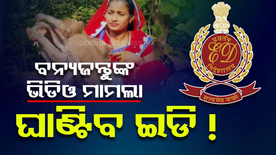 ବନ୍ୟଜନ୍ତୁଙ୍କ ଭିଡିଓ ମାମଲା: ସୋସିଆଲ ମିଡିଆରୁ କେତେ କରିଛନ୍ତି ରୋଜଗାର, ଖୋଳତାଡ କରିବ ଇଡି