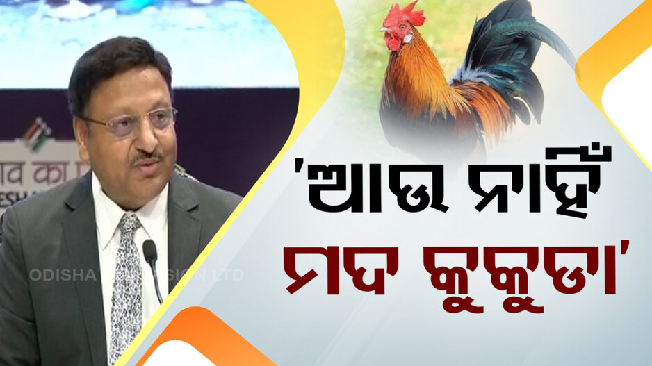 ମତଦାନ କରିବାରେ ଇତିହାସ ରଚିଲା ଭାରତ, ରେକର୍ଡ ୬୪ କୋଟି ୨୦ ଲକ୍ଷ ଭୋଟଦାନ