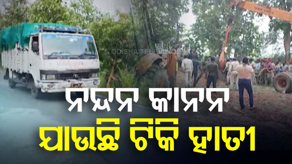 ଟ୍ରେନ୍ ଧକ୍କା ଦେବା ଘଟଣା: ଚିକିତ୍ସା ପାଇଁ ନନ୍ଦନ କାନନ ଆସୁଛି କୁନି ହାତୀ