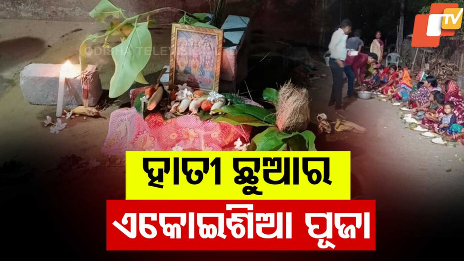 Baby Elephant: ଛୁଆ ହାତୀ ଜନ୍ମ ନେଇଛି;  ତ୍ରିନାଥ ମେଳା ଓ ଭୋଜିଭାତ ଚାଲିଛି
