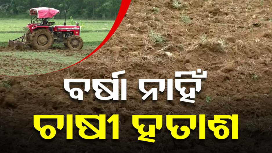 ନିଦ ହଜାଇଛି ନିଅଣ୍ଟିଆ ବର୍ଷା, କେମିତି ହେବ ଫସଲ ଚିନ୍ତାରେ ଚାଷୀ