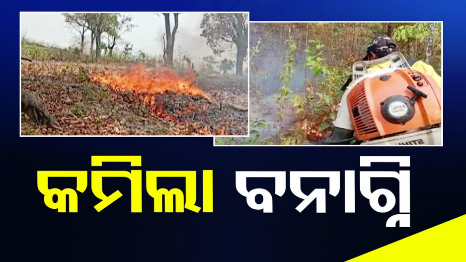 ଲୋକଙ୍କ ମଧ୍ୟରେ ସଚେତନତା ପାଇଁ ଏବର୍ଷ କମିଛି ଜଙ୍ଗଲ ନିଆଁ...