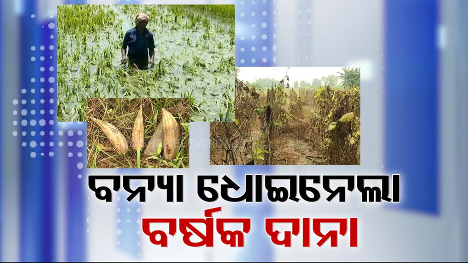 ବନ୍ୟା ଛଡ଼ାଇ ନେଲା ବର୍ଷକର ଦାନା