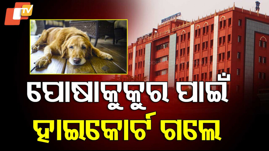 Highcourt: ବୋହୂ ନେଇଗଲା ପୋଷାକୁକୁର; ଶାଶୁ ଗଲେ ହାଇକୋର୍ଟ