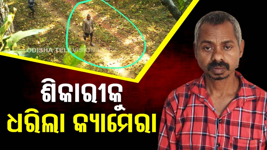 ବାଘଙ୍କ ପାଇଁ ଲାଗିଥିଲା CCTV, ଧରାପଡ଼ିଗଲା ଦୁର୍ଦ୍ଦାନ୍ତ ଶିକାରୀ