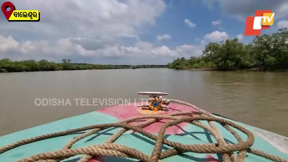 Boat Ride In Bichitrapur Mangrove Reserve In Odisha's Balasore 