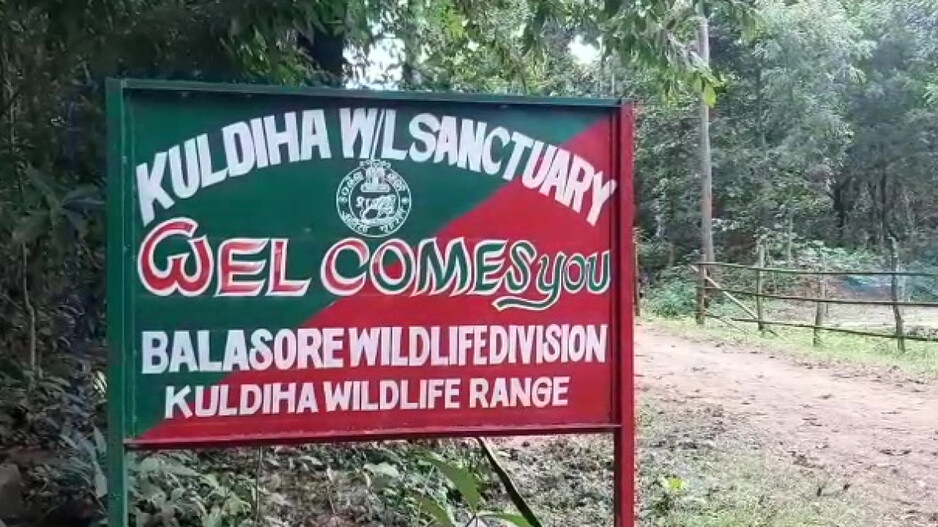 Featured Story