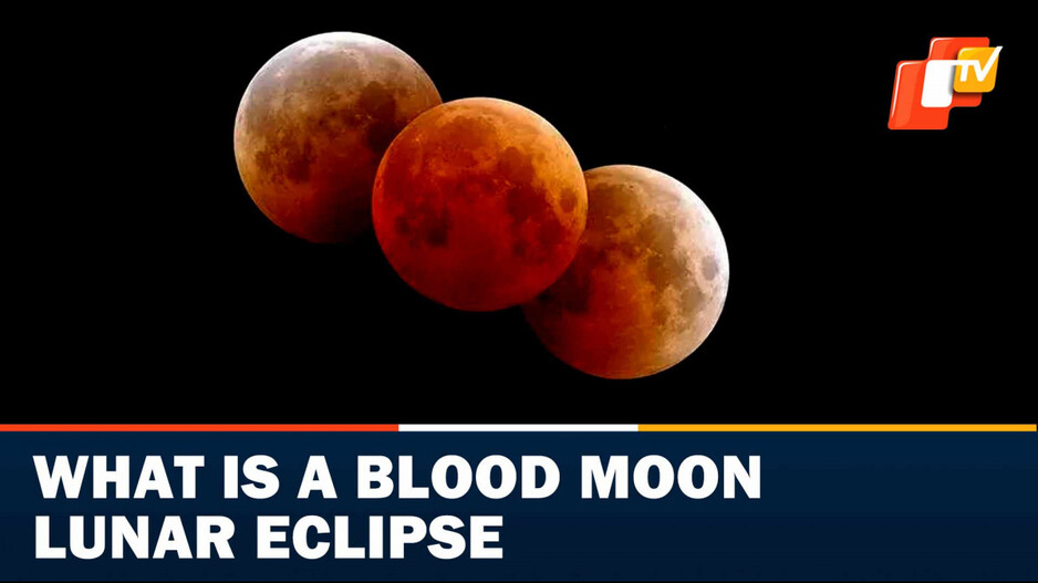 Featured Story