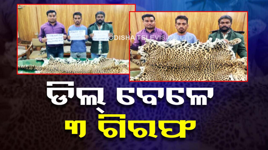 ଓଡ଼ିଶାରୁ ନେଇ ପଶ୍ଚିମବଙ୍ଗରେ ବାଘ ଚମଡ଼ା ବିକ୍ରି, ଧରାପଡ଼ିଲେ ୩ ଜଣ..