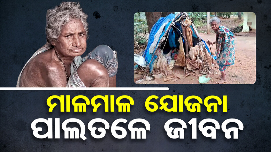 ଜରିପାଲ ଭିତରେ ବିତୁଛି ବୁଢ଼ୀମାଆଟିର ଜୀବନ, ଯୋଜନା କାହାପାଇଁ ?