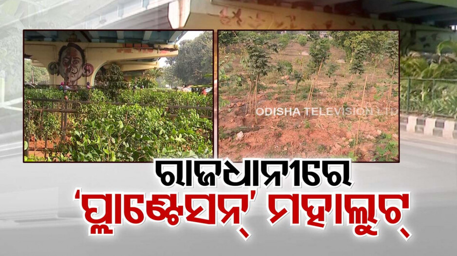 ବର୍ଷ ଆରମ୍ଭରୁ ବଡ଼ ଦୁର୍ନୀତି : ଗଛ ନାଁରେ ସାଢେ ୬ କୋଟି ଚଳୁ