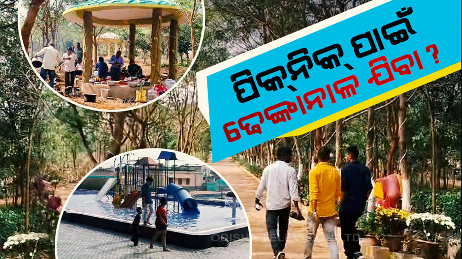 ୪୦ ହଜାର ଔଷଧୀୟ ବୃକ୍ଷ ସହିତ ଦିନଟିଏ କାଟନ୍ତୁ..