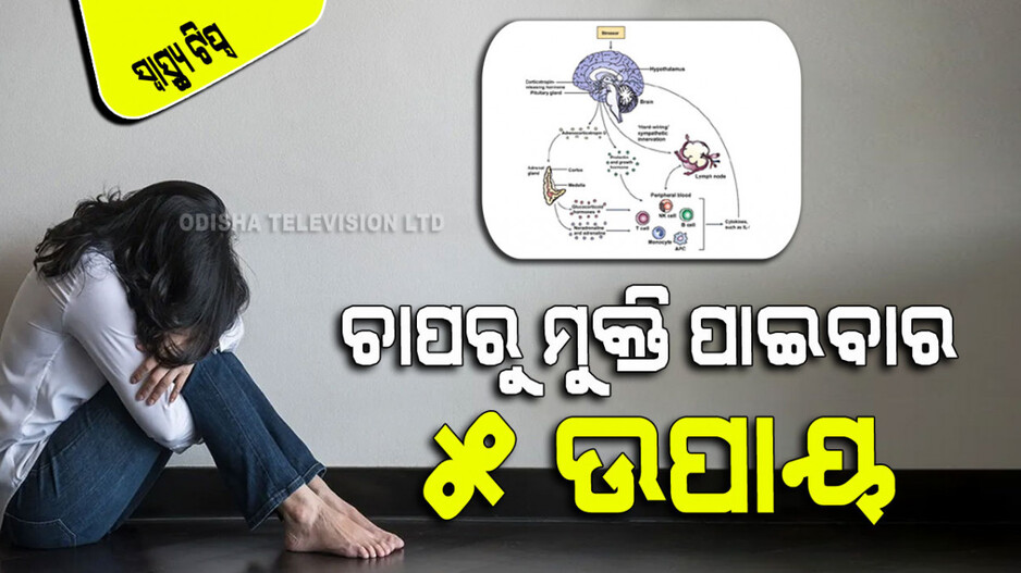 Health Tips: ସବୁବେଳେ ଚାପଗ୍ରସ୍ତ ହେଉଛନ୍ତି କି… ଜାଣନ୍ତୁ ମୁକ୍ତି ପାଇବାର ୫ ଉପାୟ