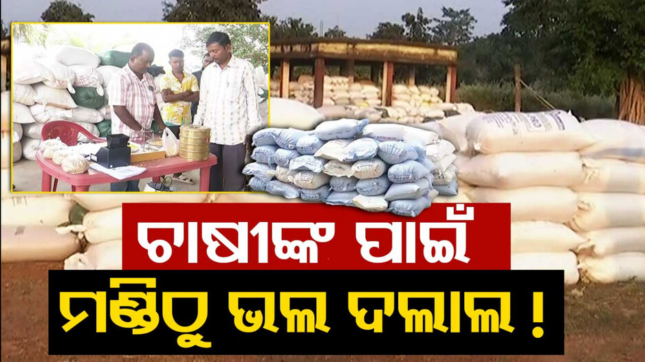 କଟନୀ ଛଟନୀ ଭୟ ! ମଣ୍ଡିରେ ନଦେଇ ଦଲାଲଙ୍କୁ ଚାଷୀ ବିକୁଛନ୍ତି ଧାନ