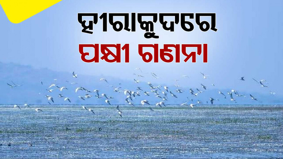 ହୀରାକୁଦରେ ଆଜିଠାରୁ ଆରମ୍ଭ ହେଲା ପକ୍ଷୀ ଗଣନା
