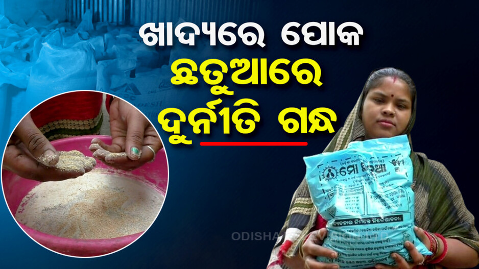 ଛତୁଆରୁ ବାହାରୁଛି କୁଣ୍ଡା