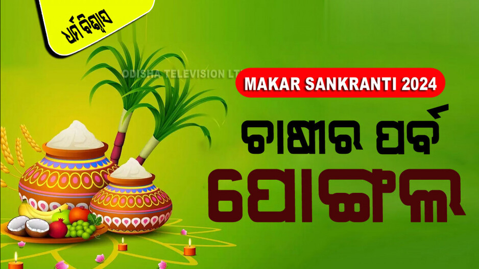 Pongal 2024: ଚାରିଦିନିଆ ପୋଙ୍ଗଲ ପର୍ବ; ଜାଣନ୍ତୁ କେଉଁଦିନ କିପରି ହୁଏ ପାଳନ