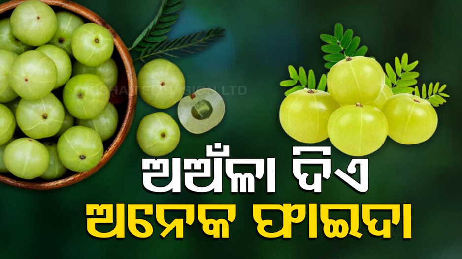 Health Tips: ଭାରି ଉପକାରୀ ଅଅଁଳା; ପ୍ରତିଦିନ ଖାଆନ୍ତୁ ଗୋଟିଏ, ଦୂର ହେବ ଏହି ରୋଗ