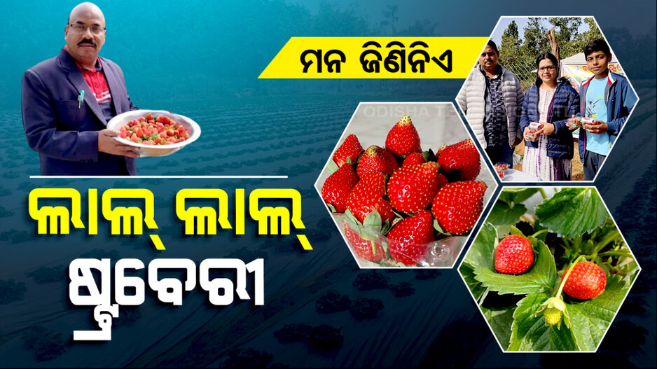 ଯିଏ କିଣୁଛି ତା ଦିଲ୍ ଖୁସ୍ ଯିଏ ବିକୁଛି ତାକୁ ବି ମିଳୁଛି ଭଲ ଦି ପଇସା