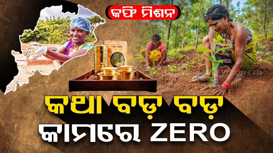 ଦୁଇ ବର୍ଷ ତଳେ ଘୋଷଣା ହୋଇଥିବା କଫି ମିଶନ କୋରାପୁଟ ଜିଲ୍ଲାରେ ହୋଇପାରୁନି କାର୍ଯ୍ୟକାରୀ
