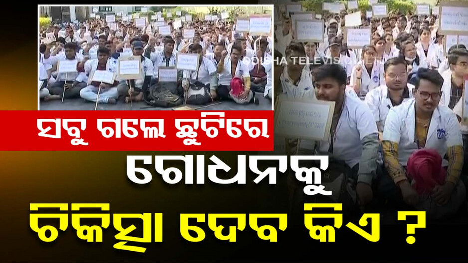 ୧୧ ଦିନରେ ସମୂହ ଛୁଟିରେ ପ୍ରାଣୀ ଚିକିତ୍ସକ; ରାଜ୍ୟରେ ପ୍ରାଣୀଧନ ଚିକିତ୍ସା ଠପ୍‌ !