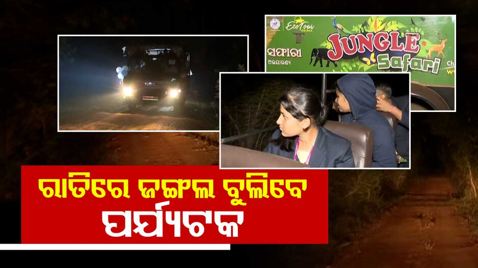 ରାତିରେ ଜଙ୍ଗଲ ବୁଲା...ଯେତିକି ରୋମାଞ୍ଚକର, ସେତିକି ଭୟଙ୍କର