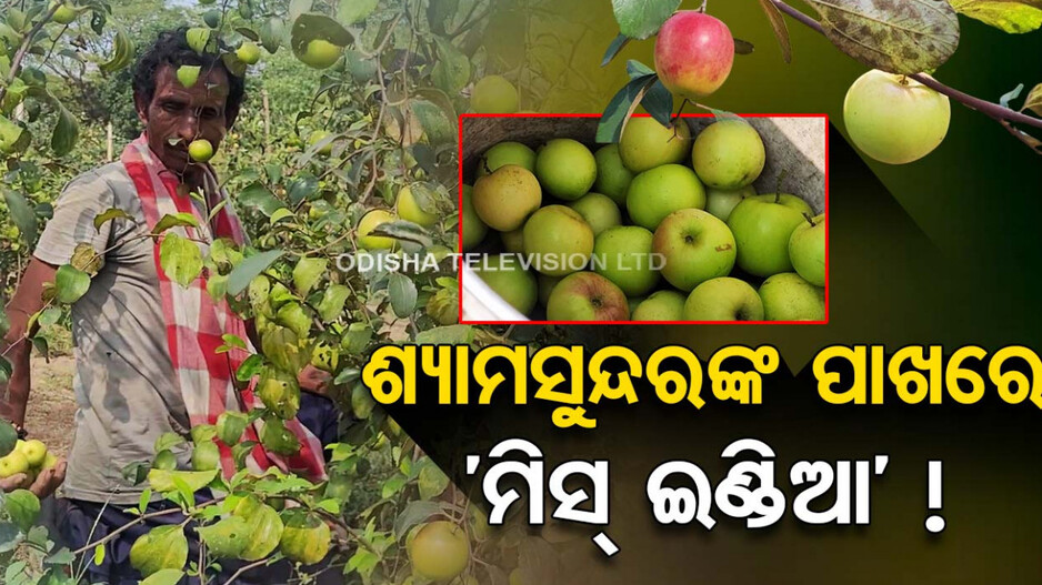 ‘ମିସ୍ ଇଣ୍ଡିଆ’ଠାରୁ ‘ପର୍ଲ ସୁନ୍ଦରୀ’ ସବୁ ଶ୍ୟାମସୁନ୍ଦରଙ୍କର..