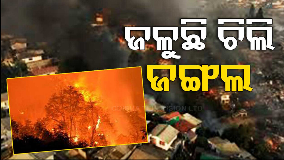 ଜନବସତିକୁ ବ୍ୟାପିଲା ଜଙ୍ଗଲ ନିଆଁ...୪୬ ମୃତ, ୧୧୦୦ରୁ ଅଧିକ ଘର ପାଉଁଶ