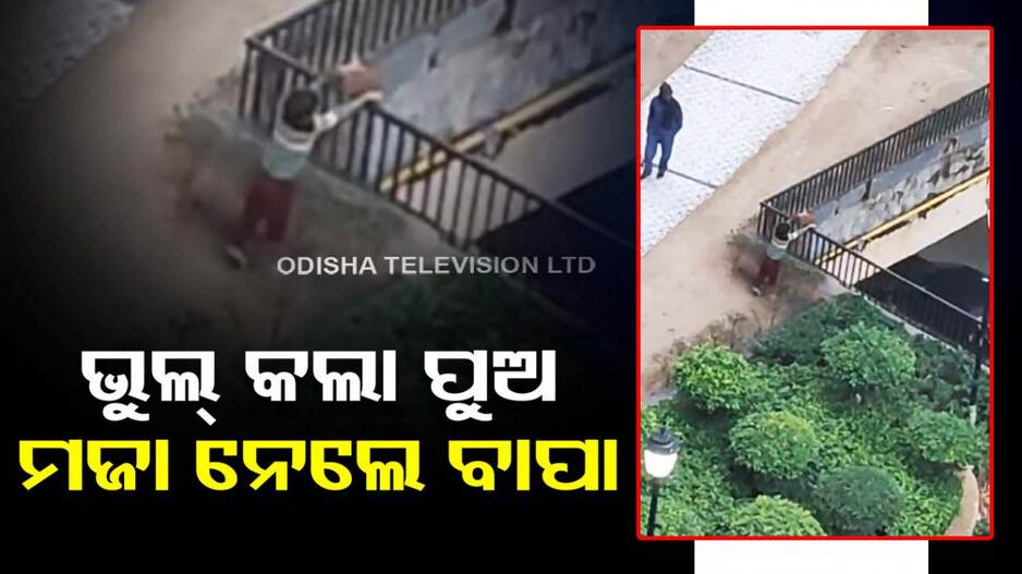 ଛାତ ଉପରୁ କୁକୁର ଛୁଆକୁ ପିଙ୍ଗିଦେଲା କୁନି ପୁଅ...ବାପା କଲେ ଭିଡିଓ ରେକର୍ଡ