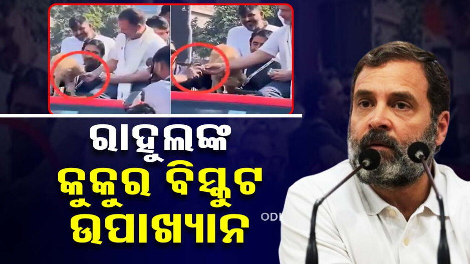 ରାହୁଲ ବଖାଣିଲେ କୁକୁର ବିସ୍କୁଟ ପଛର ସତ...ବିରୋଧୀଙ୍କୁ କଲେ ଟାର୍ଗେଟ