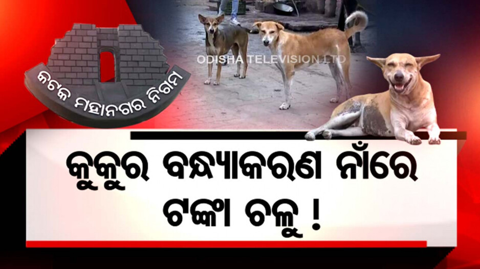 ହାଇକୋର୍ଟର ନା ପରେ ବି ମାନିଲାନି CMC; ବନ୍ଧ୍ୟାକରଣ ନାଁରେ କଲା ଲକ୍ଷ ଲକ୍ଷ ଟଙ୍କା ଚଳୁ !