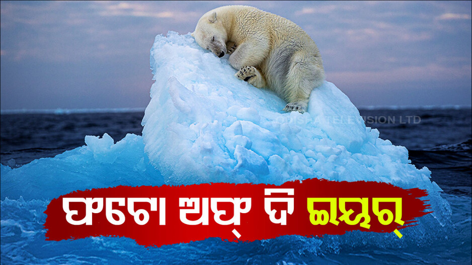 ଫଟୋକୁ ଯେତେ ଦେଖିଲେ ବି ମନ ଭରୁନି, ଆହୁରି ଦେଖିବାକୁ ମନ କହୁଛି...