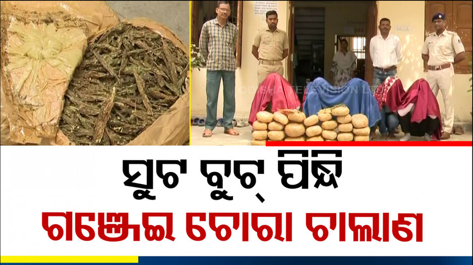 ନୂଆ ତରିକା, ହାଇଫାଇ ଷ୍ଟାଇଲ୍‌ରେ ଗଞ୍ଜେଇ ଚୋରା ଚାଲାଣ