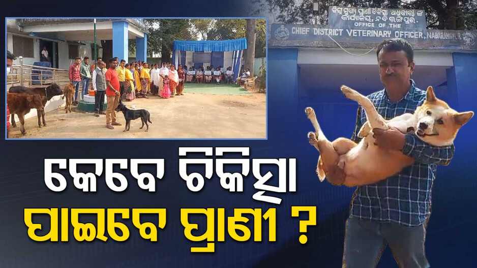 ଆନ୍ଦୋଳନରେ ପ୍ରାଣୀ ଚିକିତ୍ସକ;ପ୍ରାଣୀ ଚିକିତ୍ସାଧିକାରୀଙ୍କ ଅଫିସ୍ ଆଗରେ ବନ୍ଧାହେଲେ ଗୃହପାଳିତ ପଶୁ