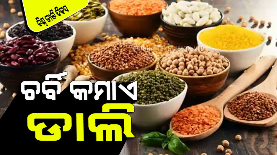 World Pulses Day 2024: ଡାଲିରେ ରହିଛି ଅନେକ ଗୁଣ; ହୃଦୟକୁ ରଖେ ସୁସ୍ଥ, ସୁଗାରକୁ କରେ ନିୟନ୍ତ୍ରଣ