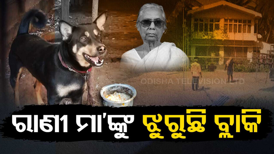 ରାଣୀ ମା’ଙ୍କୁ ଝୁରୁଛି ବ୍ଲାକି... ତୁଣ୍ଡରେ ନେଉନି ଖାଦ୍ୟ ପାଣି....